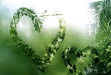 爱游戏-里程碑夜！休斯敦火箭刷新队史纪录，意甲国际比赛日刷纪录，管理层满意，赛季目标并未改变-爱游戏