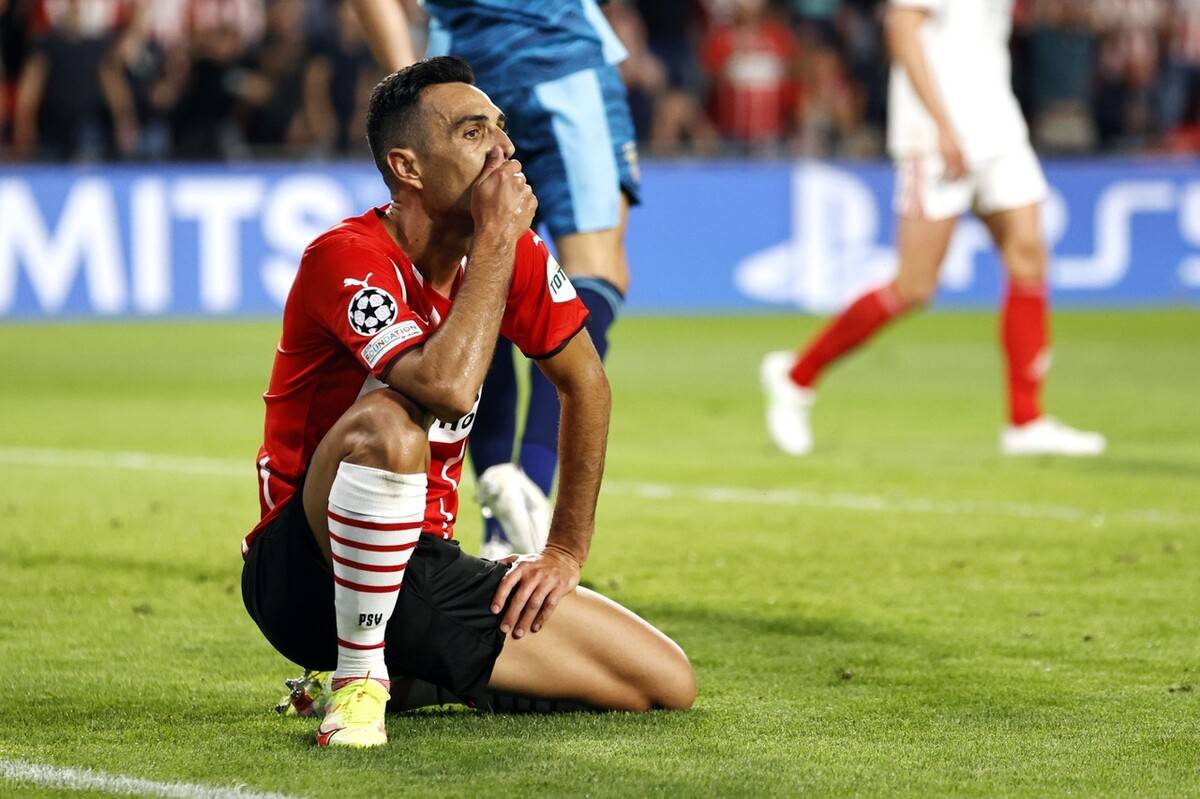 荷甲今夜走向成谜；本菲卡远射贴柱；质疑声仍在；临场指挥获称赞的简单介绍