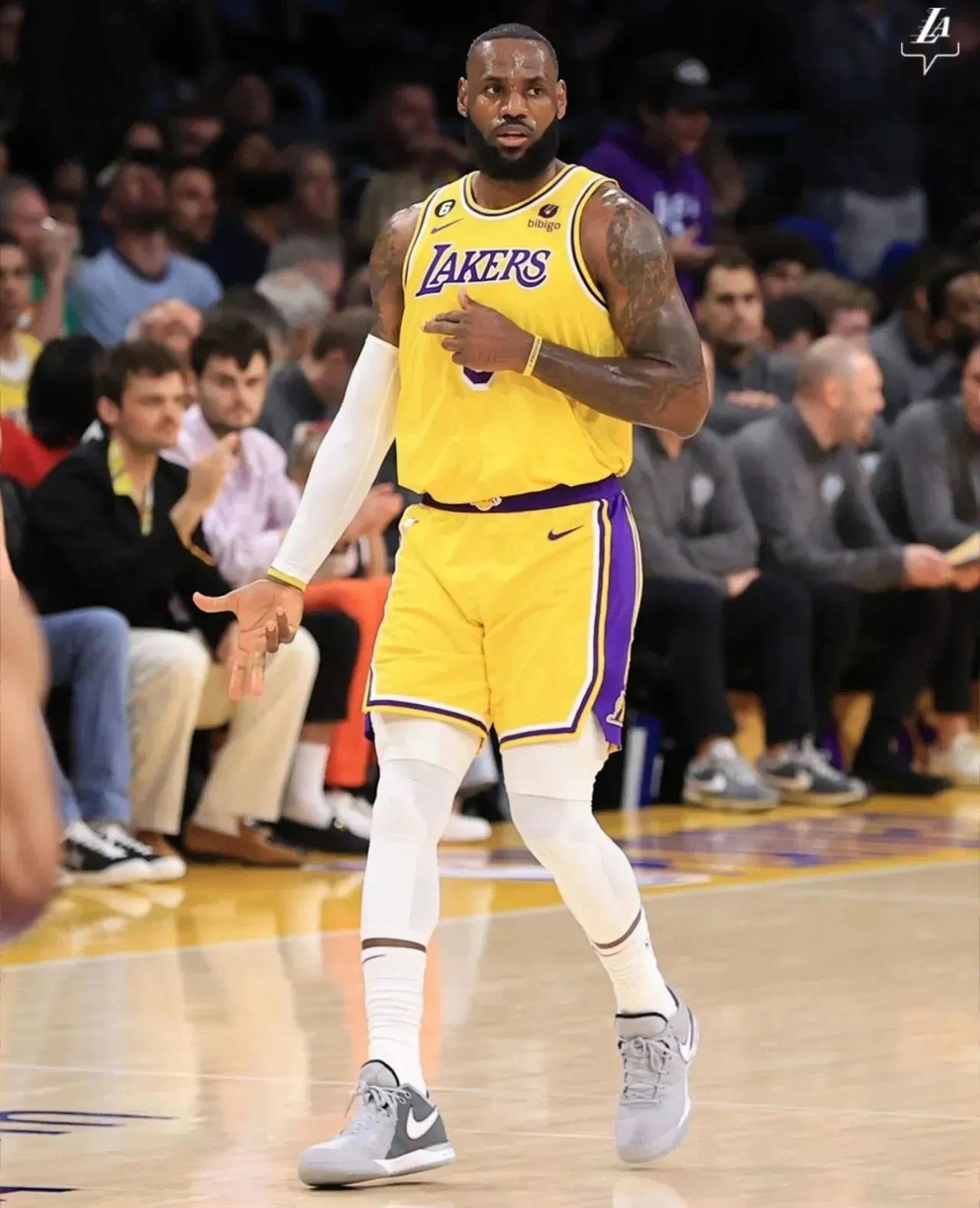 NBA总决赛赛后走向成谜；成都蓉城篮板制胜；更衣室稳定；球队文化再被提及的简单介绍